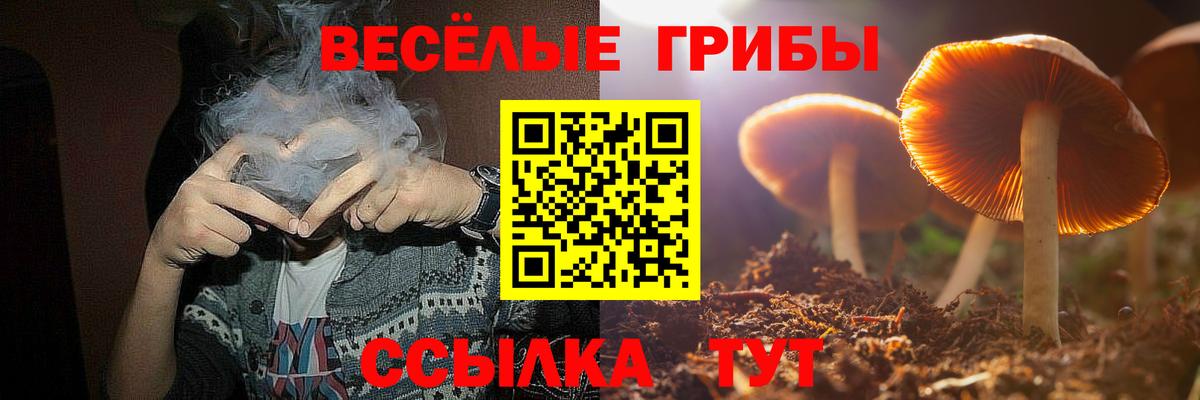 Галлюциногенные грибы прущие грибы Амурск